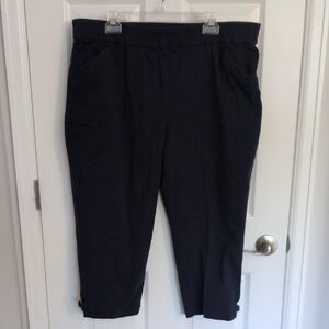 Blair Navy Blue Pull On Capris - 20W